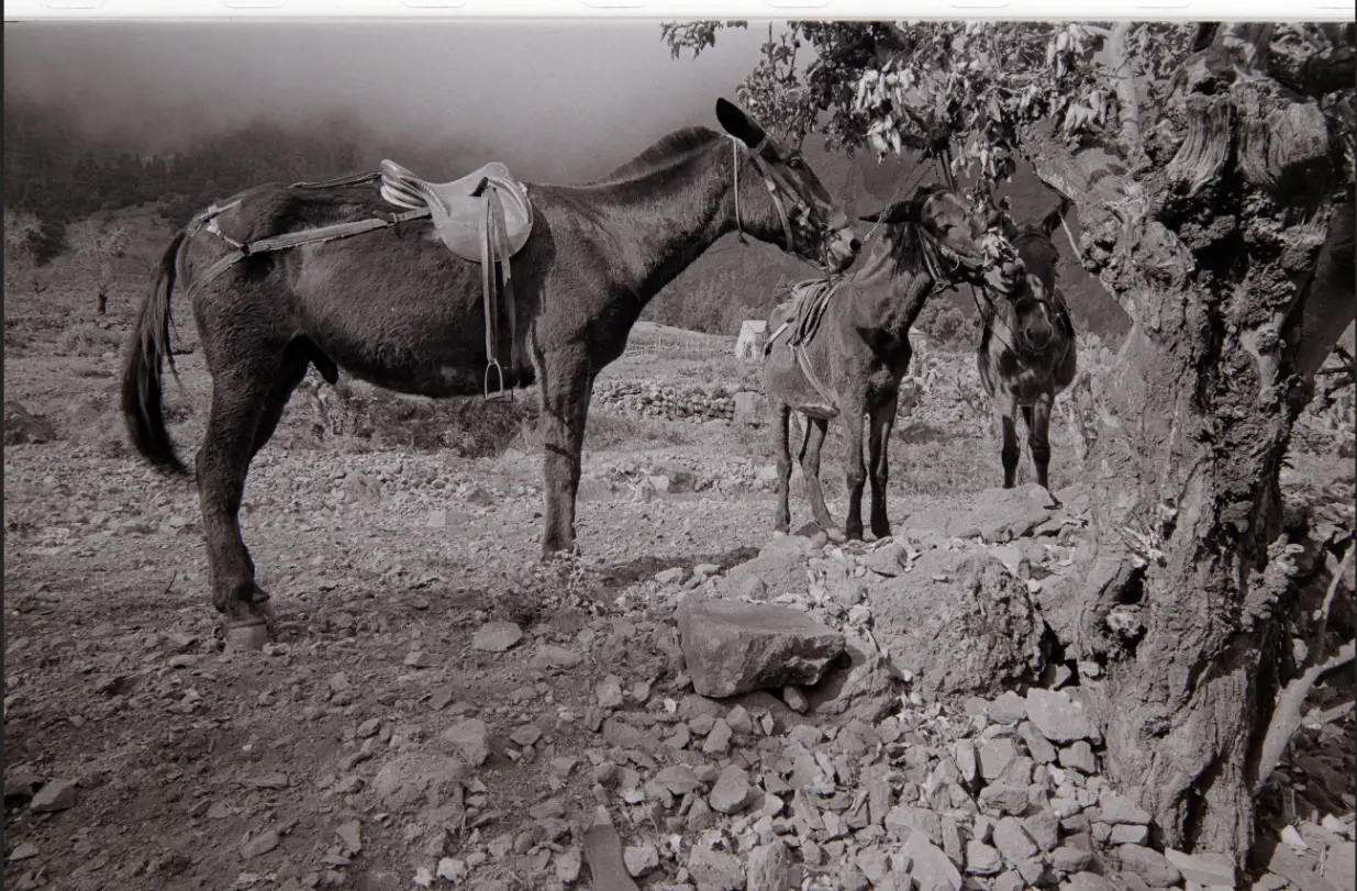 Excursión a La Caldera.